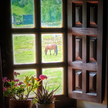 Casa Del Lavadero *