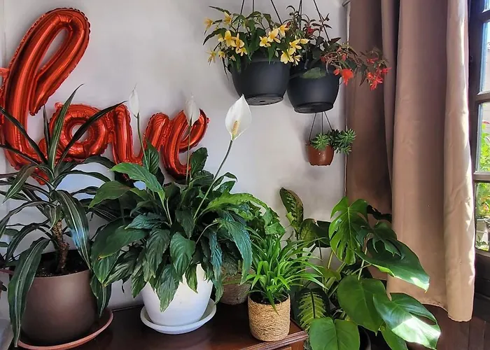 Séjour chez l'habitant Casa Del Lavadero *