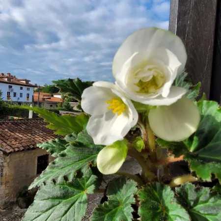 Casa Del Lavadero Проживание в семье Сантильяна-дель-Мар